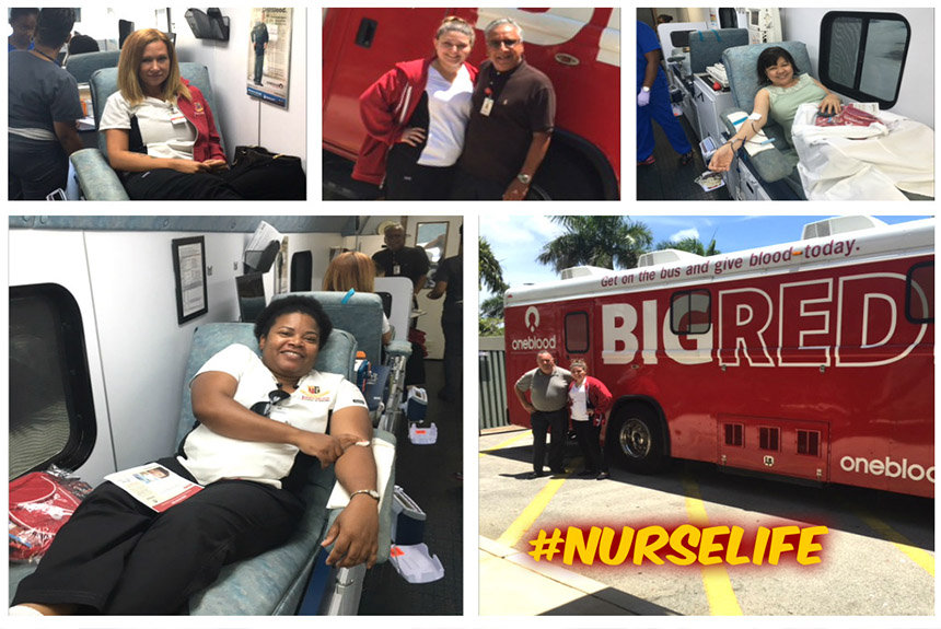 bigredbusftl.jpeg